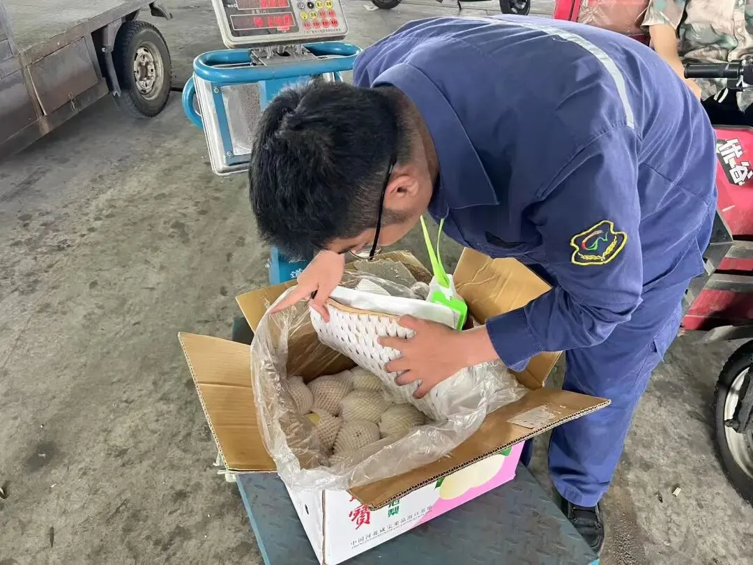 放心市场 | 海口市菜篮子江楠市场开展计量器具及果品质量专项检查