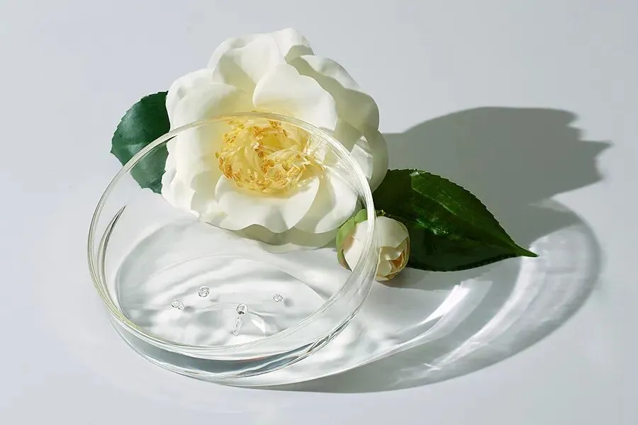 护肤品研发“我喜欢”和“市场买账”之间,如何找到平衡点?