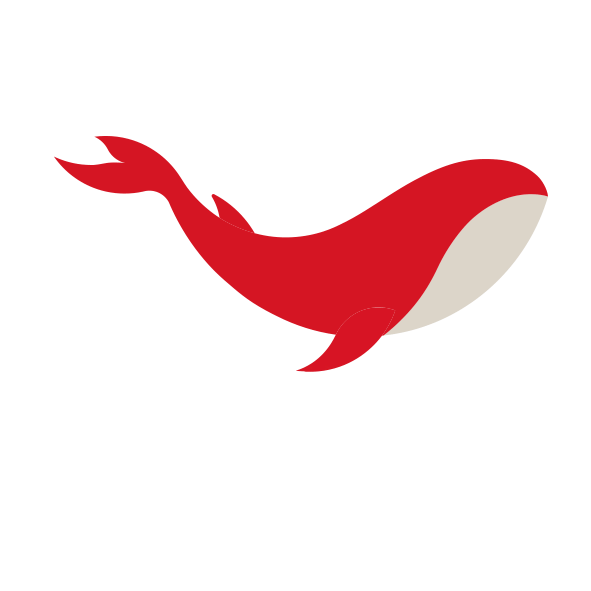 2026年中国消费市场:前景展望乐观