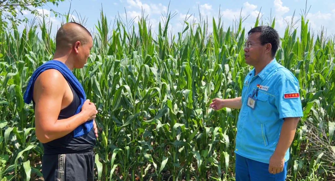 中石油铁岭销售多措并举护航春耕 精准服务助力 “三农”