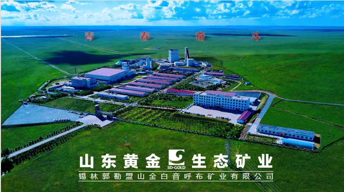 锡盟市场监督管理局副局长陈建军一行到白音呼布矿业公司指导工作