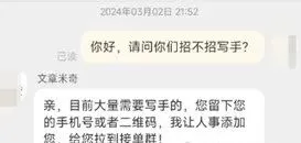 市场需求广,学生党也能做Ai代写项目.