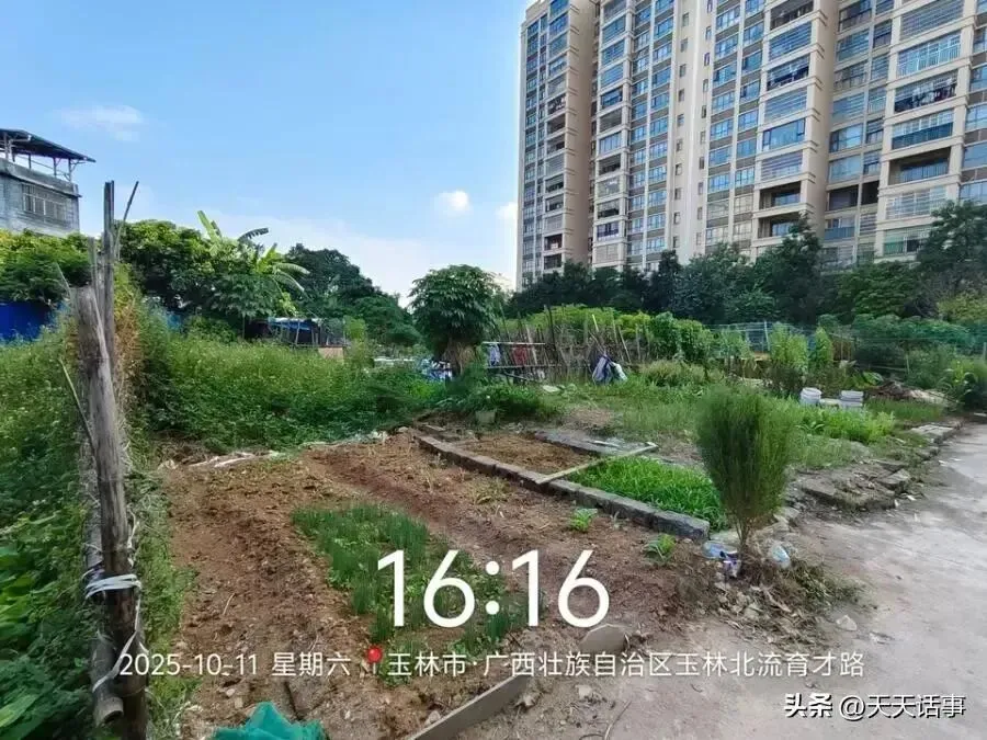 十万元都不要了!北流市一宗673㎡市场用地131万拍卖成交后遭悔拍