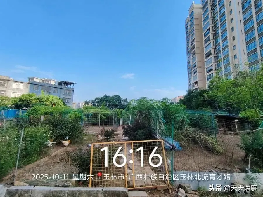 十万元都不要了!北流市一宗673㎡市场用地131万拍卖成交后遭悔拍