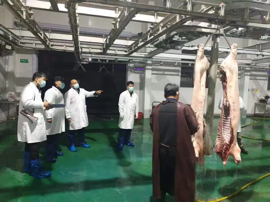 凌晨出击!山东开展肉类批发市场、生猪屠宰企业大检查“3·14零点行动”