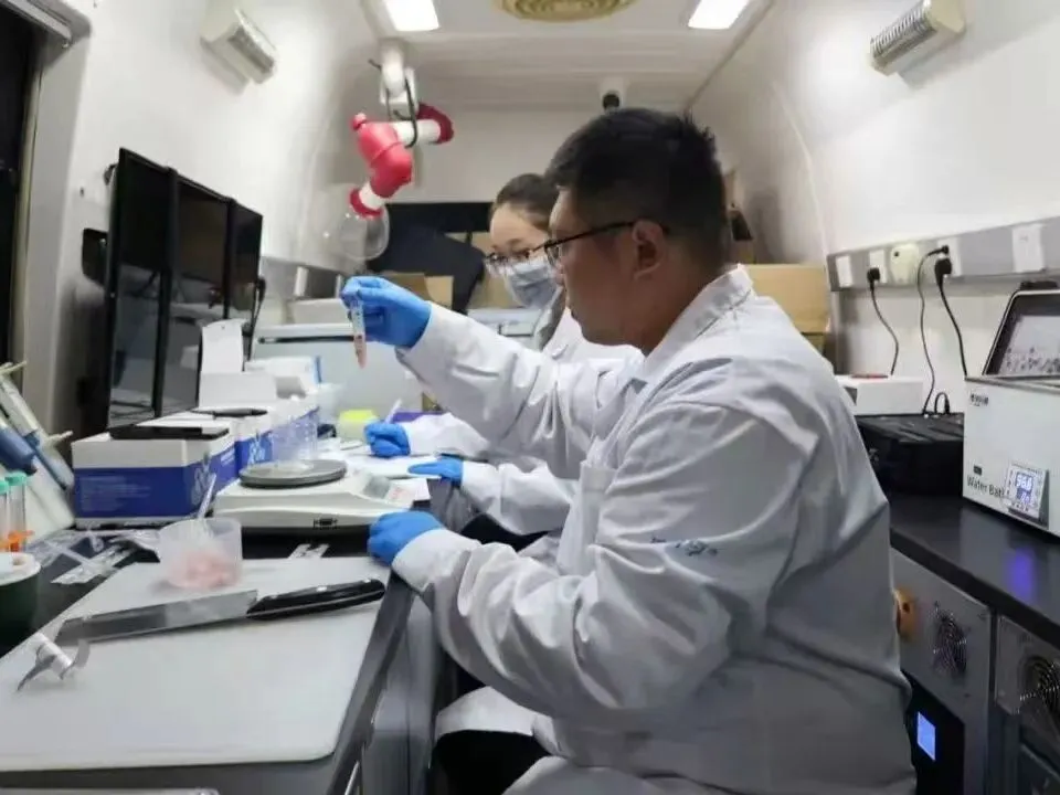 凌晨出击!山东开展肉类批发市场、生猪屠宰企业大检查“3·14零点行动”