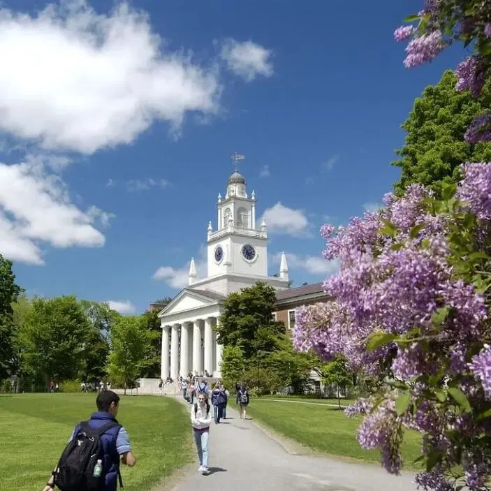纽约大学整合营销硕士录取!| 喜报