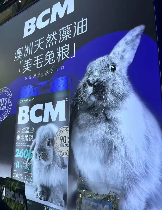 2026深宠展,邦道观察宠物品牌营销新特色