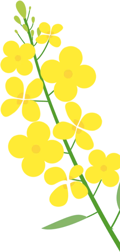 花海赴春约,高铁通南北!跨区域联合营销,解锁三秦出行新体验