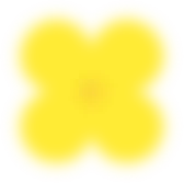 花海赴春约,高铁通南北!跨区域联合营销,解锁三秦出行新体验