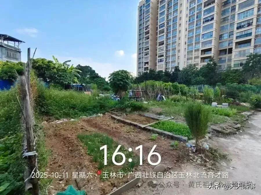 北流市一宗673㎡市场用地131万拍卖成交后遭悔拍