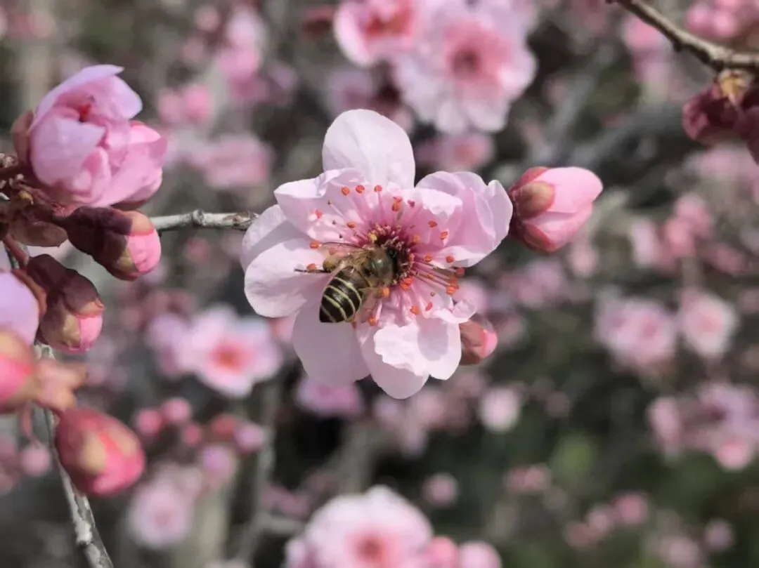 我对近期市场的几点看法