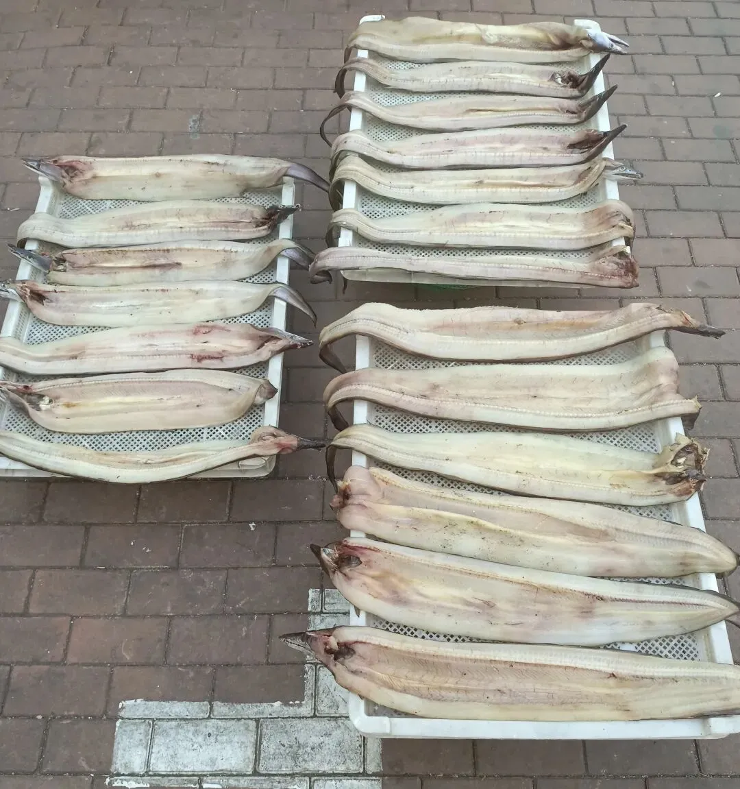 晒鱼干哪家强,山东青岛海鲜市场