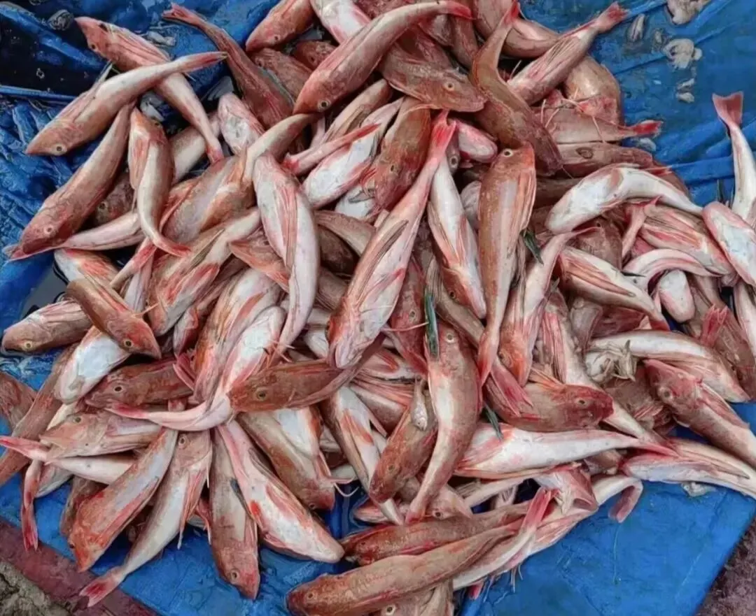 晒鱼干哪家强,山东青岛海鲜市场