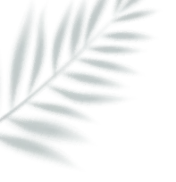 智联校园·产学用一体化生活好物营销实践项目