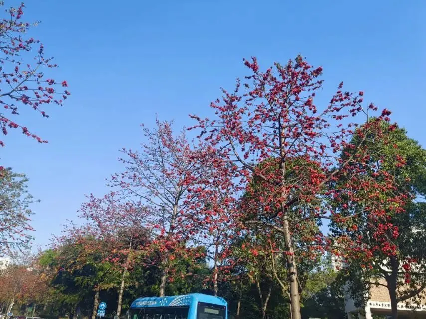 《市场监督管理行政处罚案件违法所得认定办法》2026年3月20日实施,3月20日之前发生的违法行为是否也适用这部规章来认定违法所得呢?