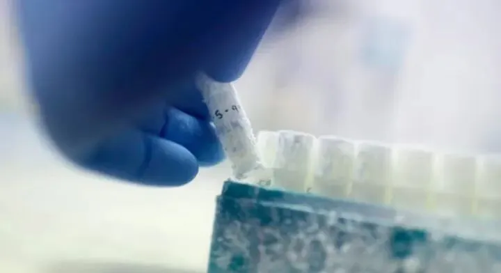 油价暴涨 魁省电动车市场经历暴风雨前的平静