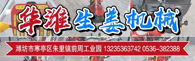 [03/20]昌邑市场价格(不是农忙上货少,而是真没有姜了!)
