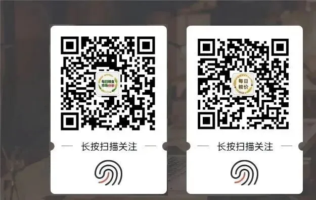 2026年3月20日大豆市场日报:大豆现货均价持稳,供应偏紧预期支撑后市