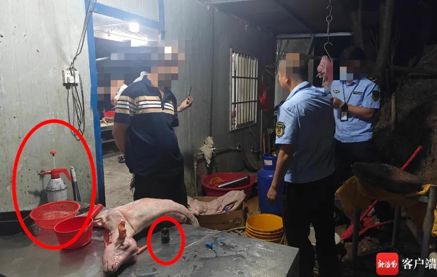 海口市场出现“染色羊肉”!暗访直击“黑山羊”喷涂全过程