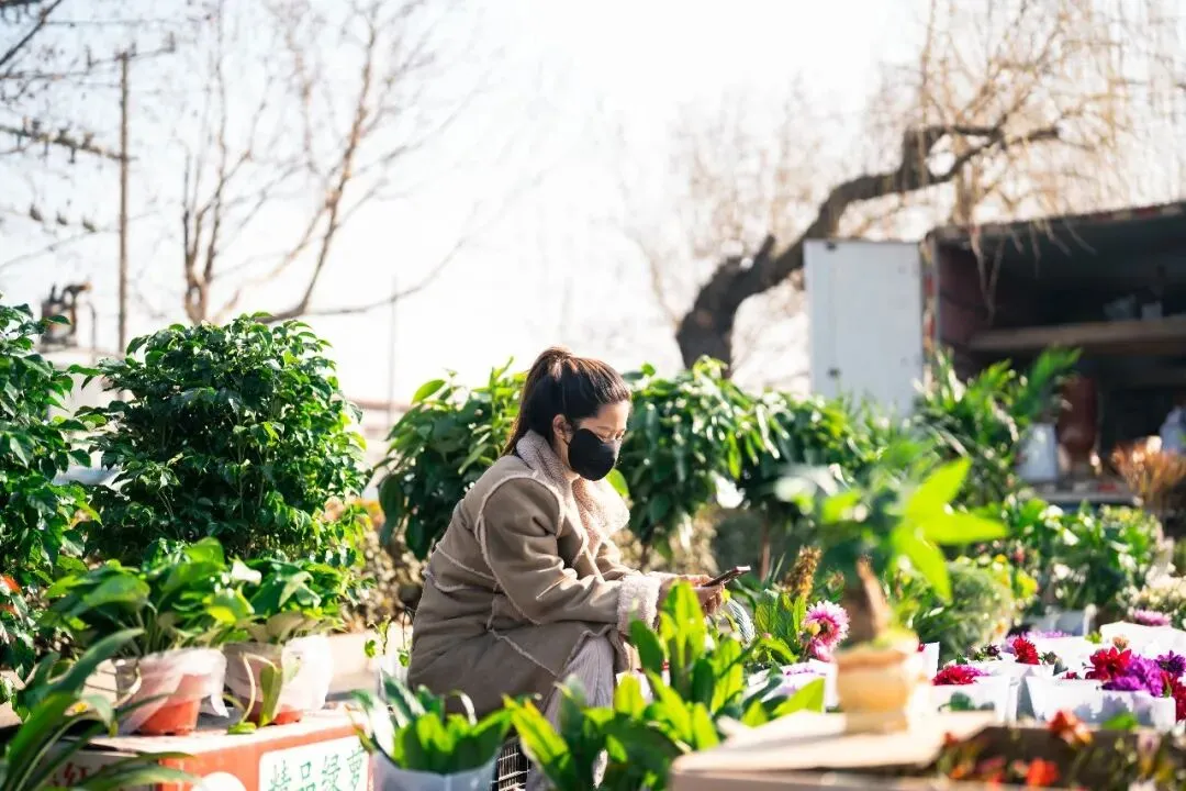 春天肃宁集市花鸟市场的热闹
