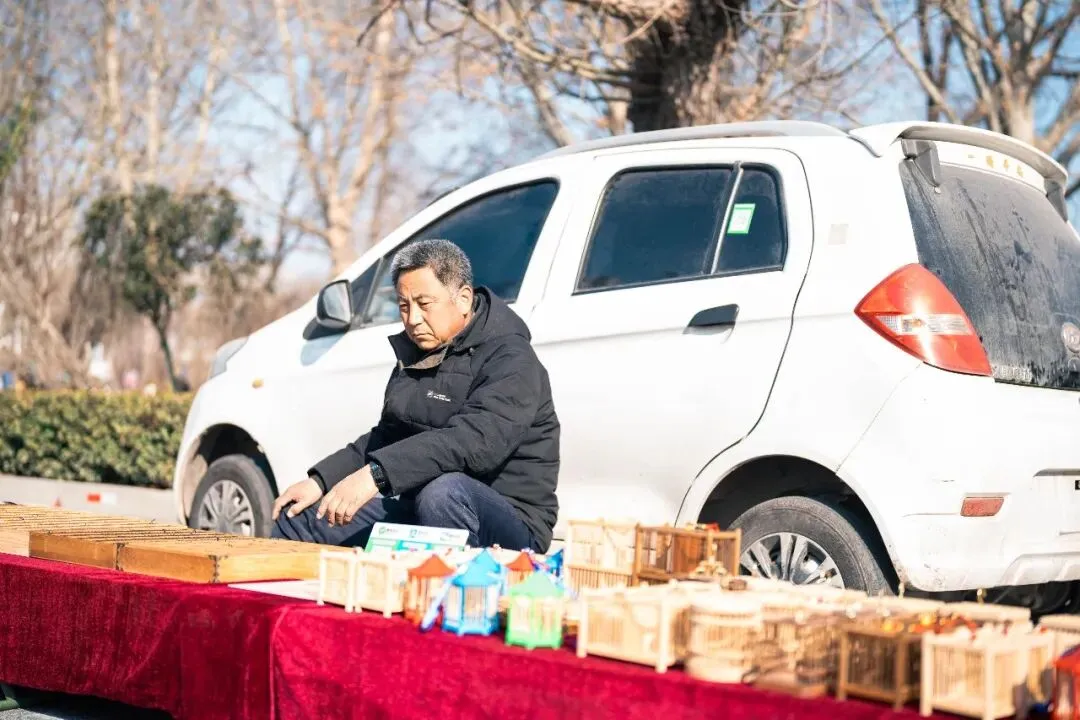春天肃宁集市花鸟市场的热闹