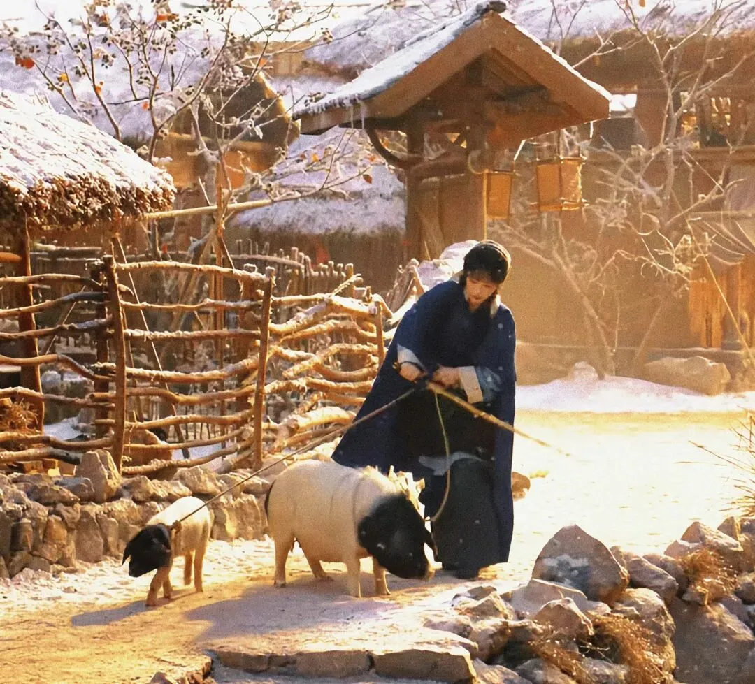 《逐玉》:长剧市场的别样烟火与突围之道