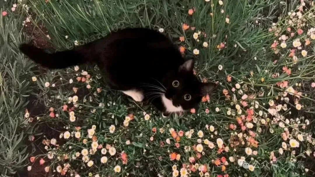 医药/械市场分析思维的基本结构(续2)