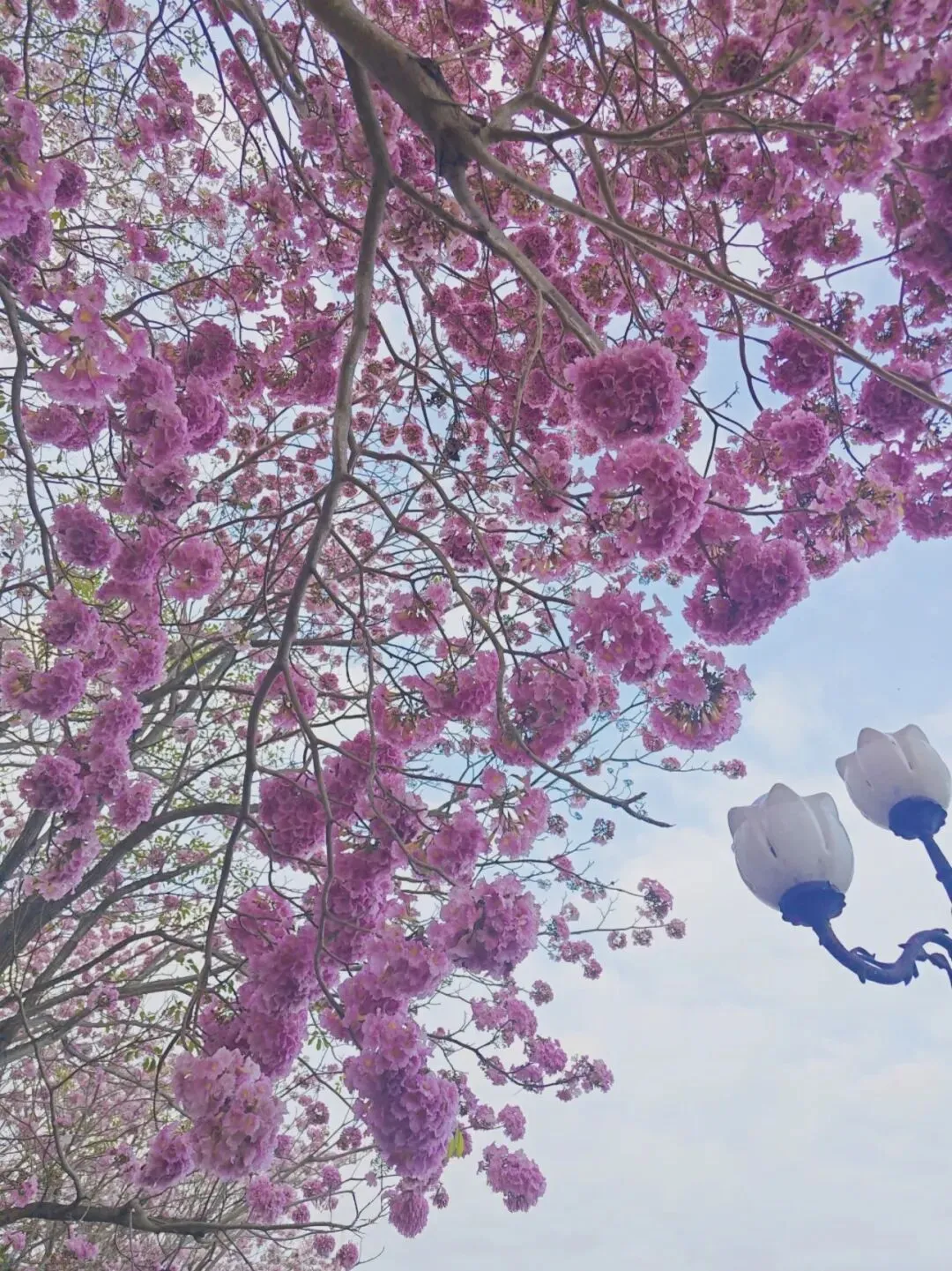 小米SU7 pro高颜值,高概念,高营销模式,是否有高的可靠性?希望代表中国进行高科技突围