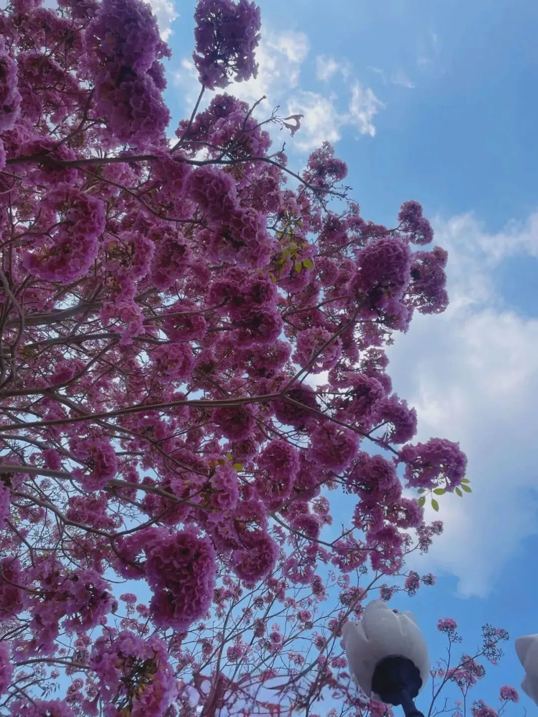 小米SU7 pro高颜值,高概念,高营销模式,是否有高的可靠性?希望代表中国进行高科技突围