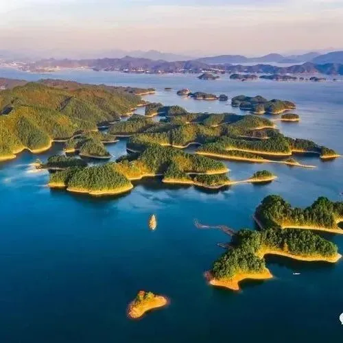 2025年中国首席营销官(CMO)调查报告(附下载)