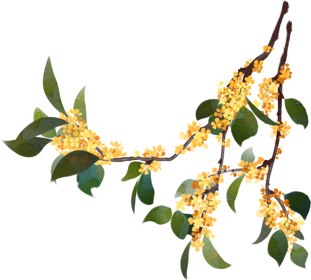 怀柔消费|购销两旺!怀柔中秋假期消费市场火热