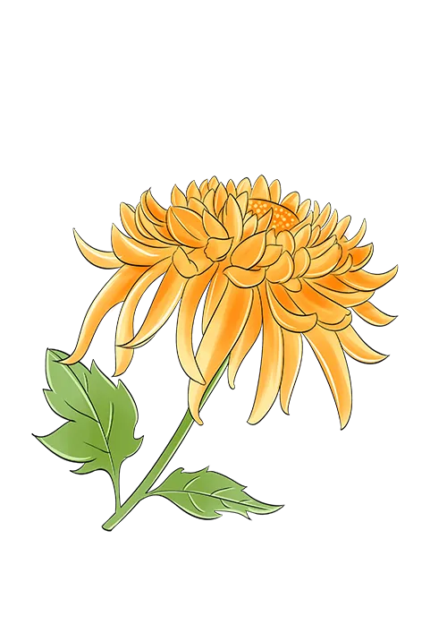 怀柔消费|购销两旺!怀柔中秋假期消费市场火热