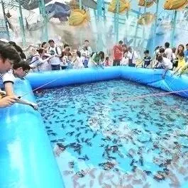 怀柔消费|购销两旺!怀柔中秋假期消费市场火热