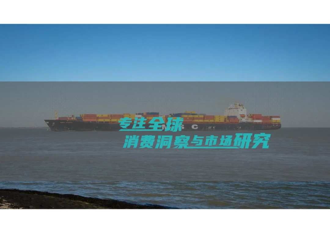 报告分享|2025中国跨境电商营销服务行业报告