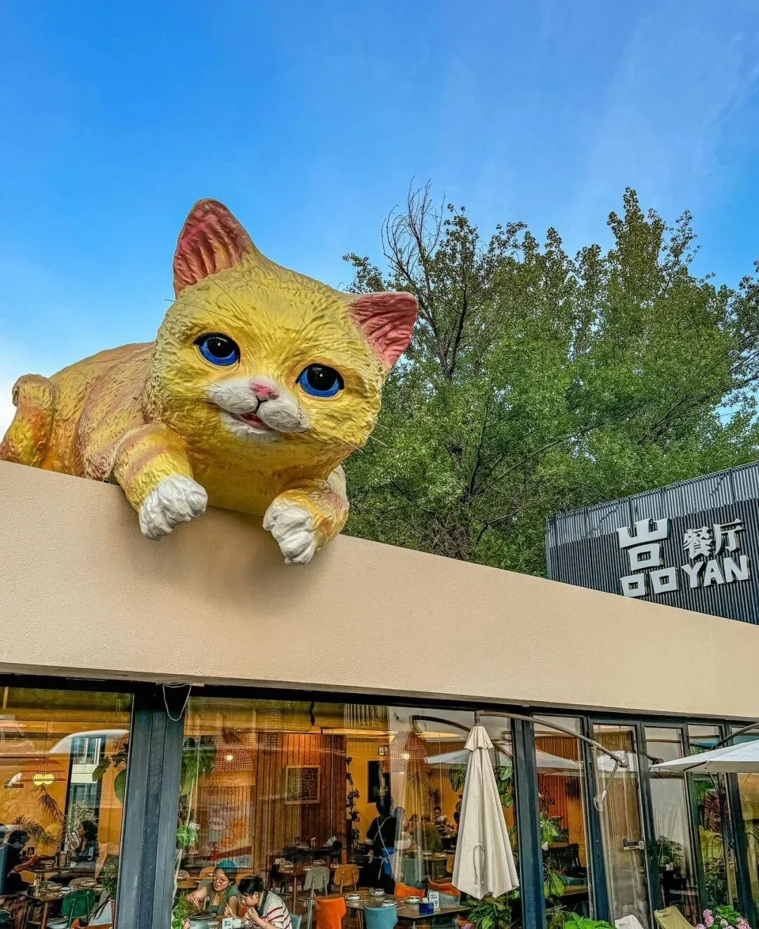 怀柔消费|购销两旺!怀柔中秋假期消费市场火热