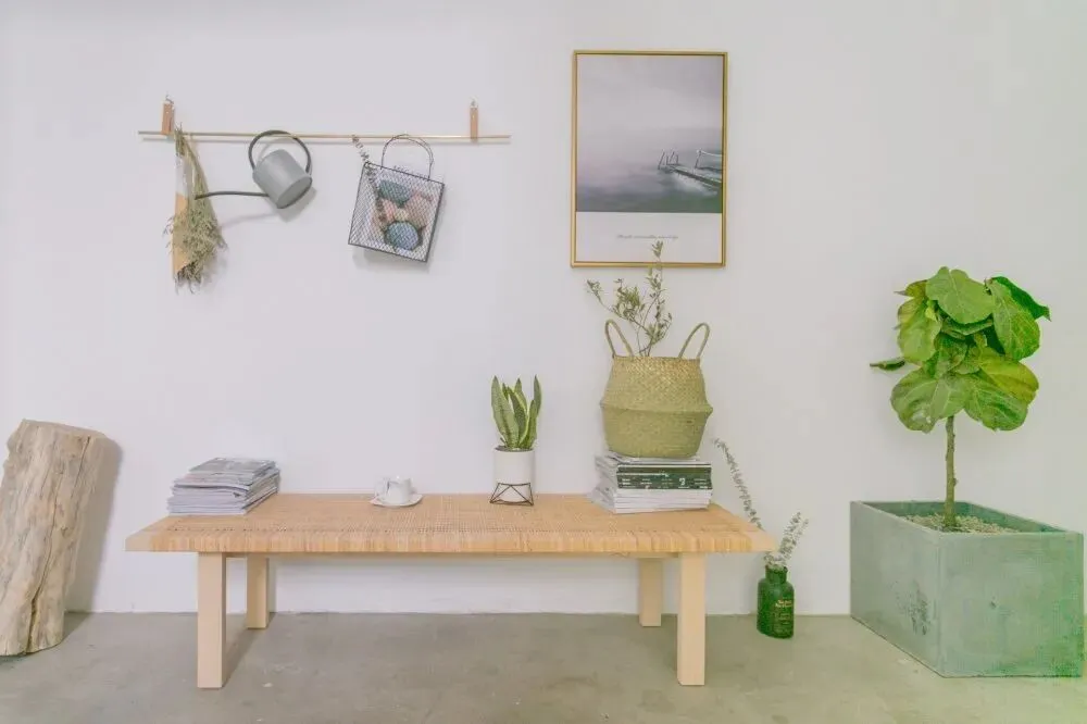 【创森知识】植物抗辐射?这是营销陷阱!