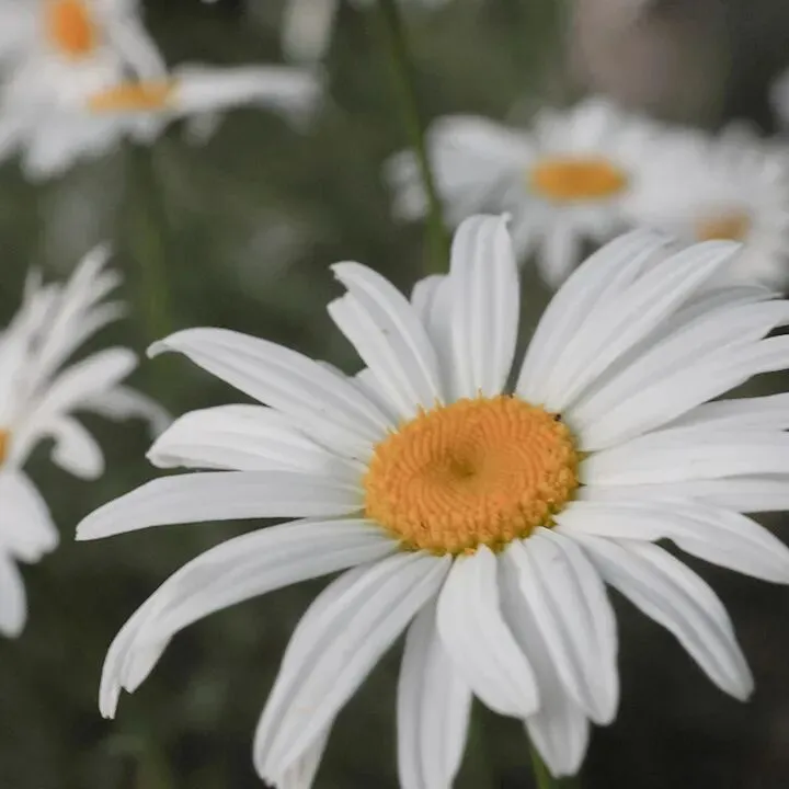 2025学年七年级3班作品展——市场里的种子和果实