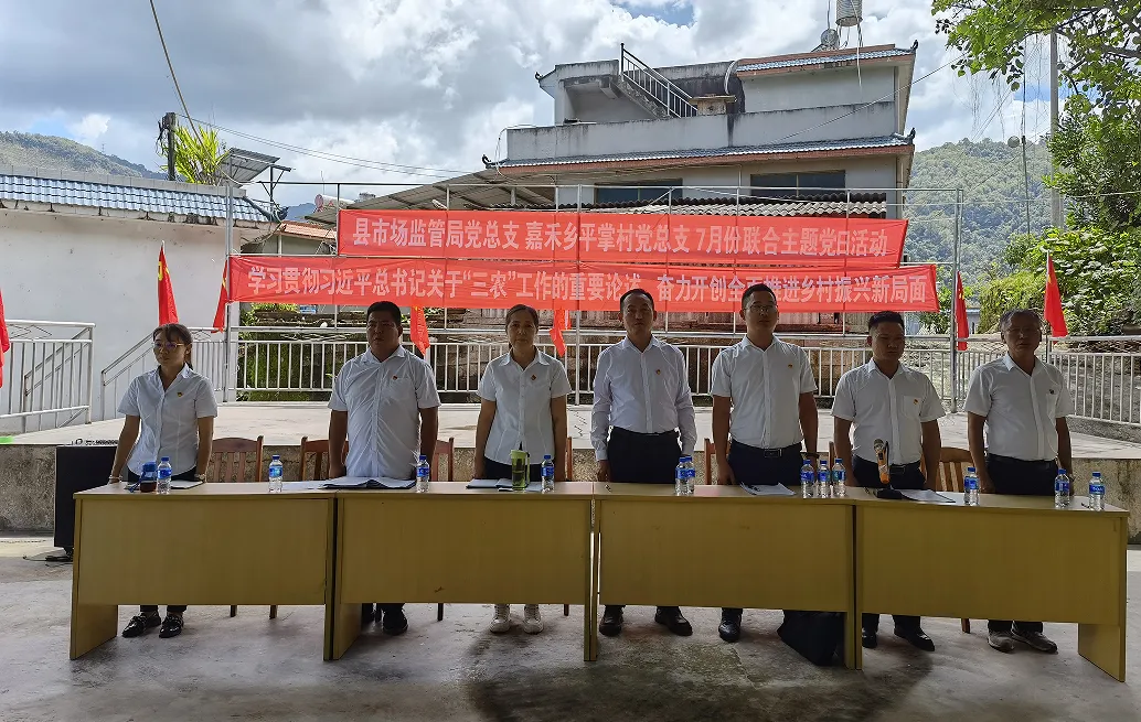 江城县市场监管局党总支 嘉禾乡平掌村党总支开展庆祝建党101周年系列活动