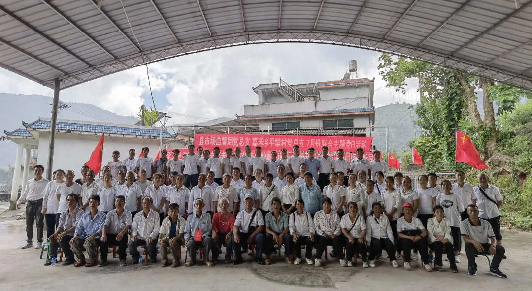 江城县市场监管局党总支 嘉禾乡平掌村党总支开展庆祝建党101周年系列活动