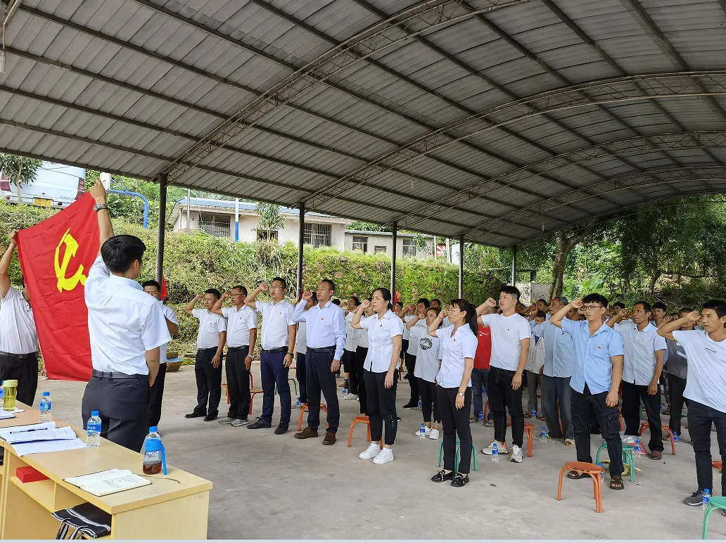 江城县市场监管局党总支 嘉禾乡平掌村党总支开展庆祝建党101周年系列活动