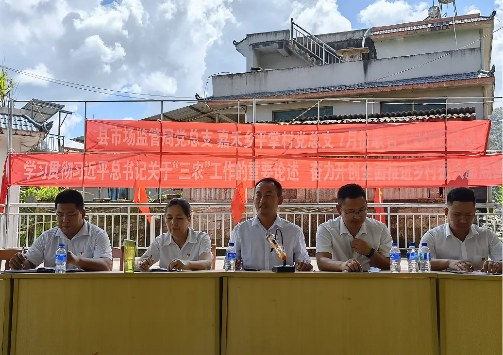 江城县市场监管局党总支 嘉禾乡平掌村党总支开展庆祝建党101周年系列活动