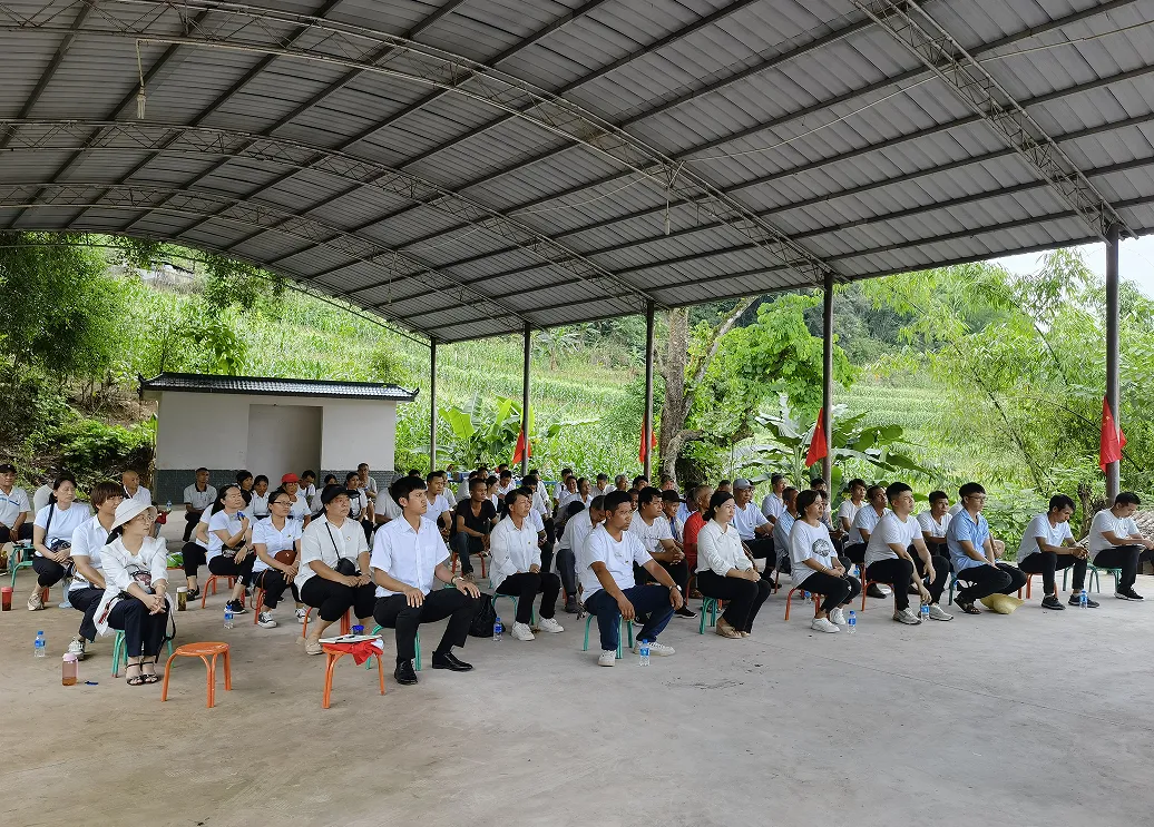 江城县市场监管局党总支 嘉禾乡平掌村党总支开展庆祝建党101周年系列活动