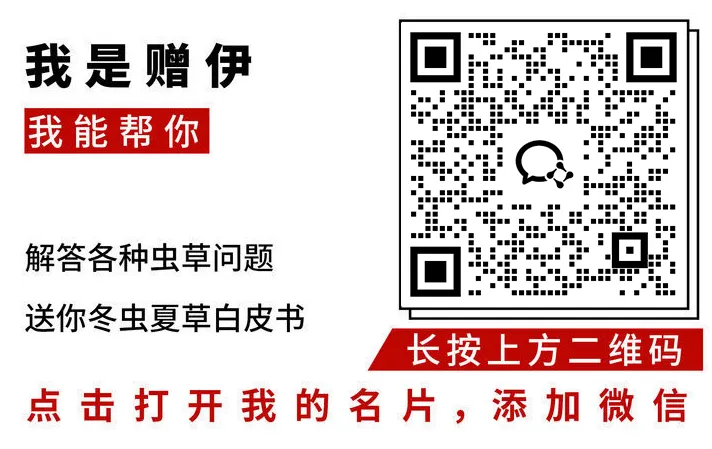 崩了,虫草市场暴雷了!