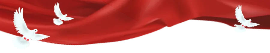 吉安市文化市场综合行政执法支队党支部召开2025年度组织生活会