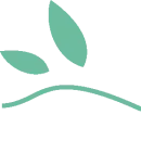 3月20日香辛料产区及市场行情价格参考