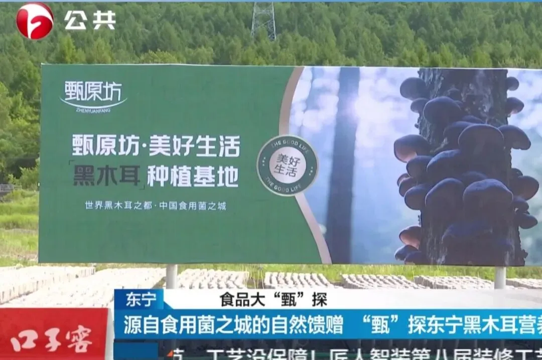 龙抬头 | 甄原坊昂首启程市场发展之年!