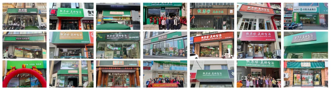 龙抬头 | 甄原坊昂首启程市场发展之年!