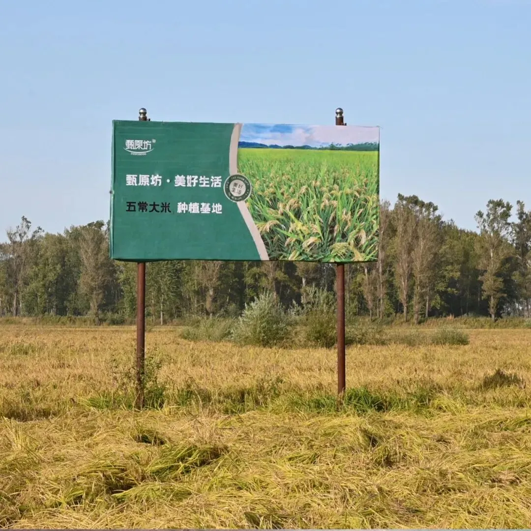 龙抬头 | 甄原坊昂首启程市场发展之年!