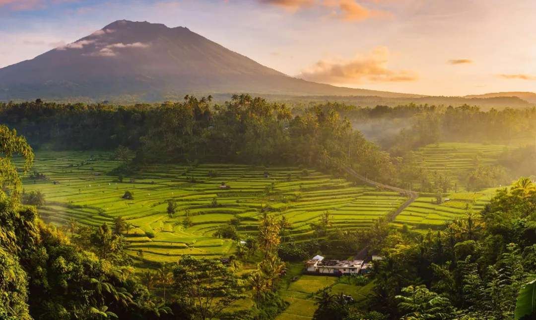 【印尼商业前沿洞察】印尼适老化改造市场的需求与痛点